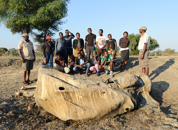 Local people viewing remains of poached elephant